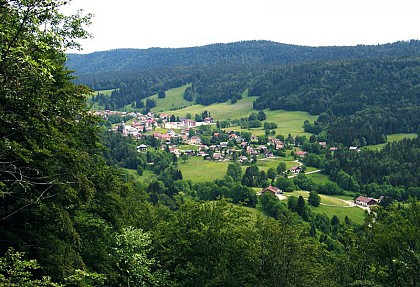 Chaux Mourant Forest