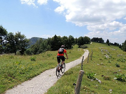 Alpine pastures along the ridges