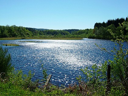 Circuit pédestre N°23 CC:  "Sentier de découverte de la tourbière de l'étang du Bourdeau"