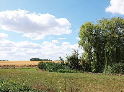 La vallée du Petit-Morin