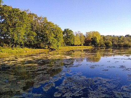 Etang et tant...