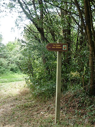 La Vigne aux Moines / Boucle 7
