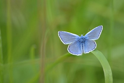 Boucle Nexon-Lastours