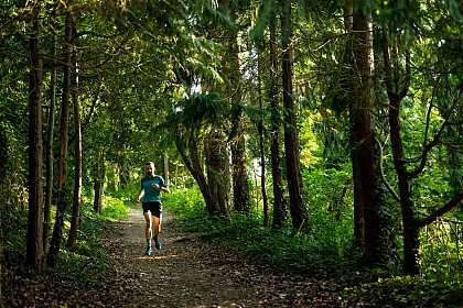 Parcours Trail n°1 - Hillion (vert)