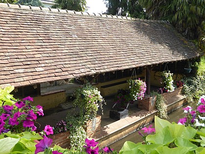 AUTOUR DU BOULEVARD NATURE : RUAUDIN, AU MILIEU DES PINS
