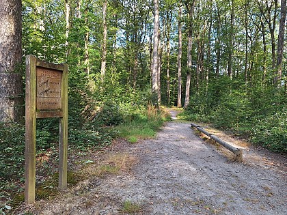 Walking trail of the pillar