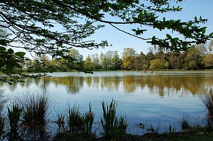 Sentier de promenade N°11 Piré-Chancé - Le parc de Piré par la Vallée