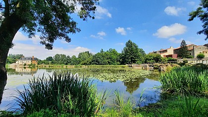 Promenons-nous à Passavant-sur-Layon : Découverte du bourg