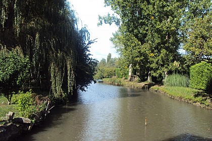 Entre Envigne et Courance