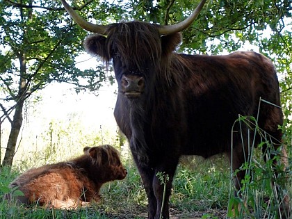 Balade dans le haut de Braine-le-Château