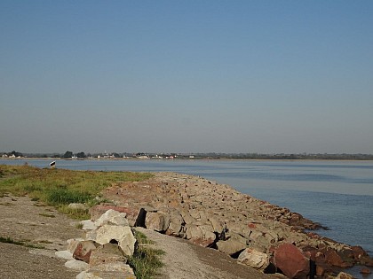 La Vieille Digue, Brévands
