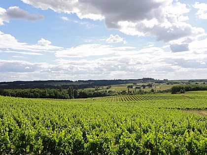 Boucle de Thénac