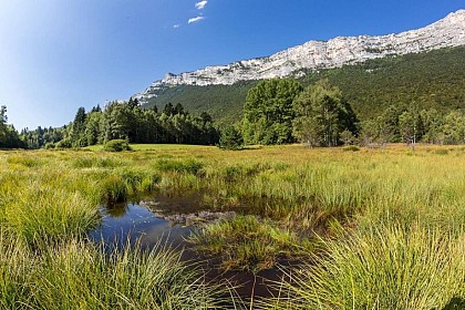 Immersion nature ENS Vercors Isèrois