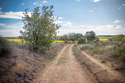 OENORANDO® LES HAUTS DE CORNEILHAN