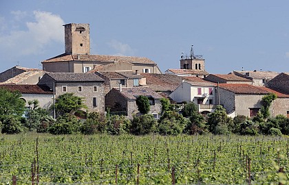 RANDONNÉE LE CHEMIN DES 1001 PIERRES