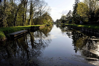 Canal d'Orléans à vélo étape K. Chalette-sur-Loing / Presnoy