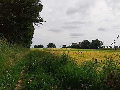 Circuit des Ammonites Thorigné