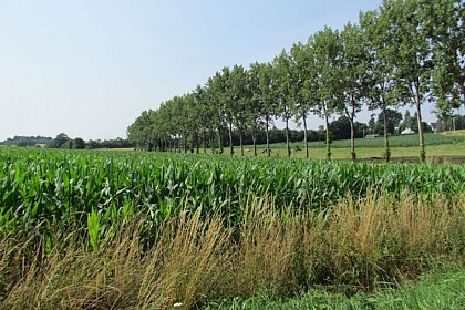 Vélo Promenade® n°9 : Entre Seiche et château