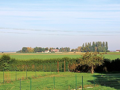 Plein champ autour des petites Vosges