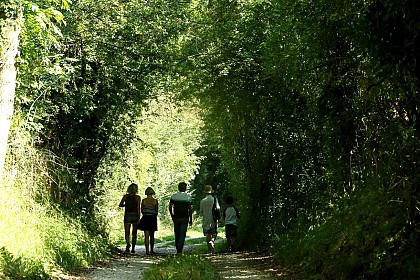 De Madeleine à Marguerie, Méautis / Auvers