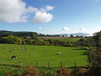 Chenelette - La Roche d'Ajoux