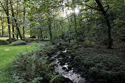 Parcours trail n°1 - Treize-Vents/Mallièvre