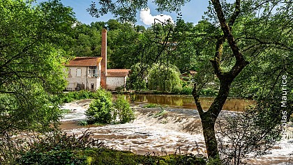 Parcours trail n°4 - Mortagne-sur-Sèvre