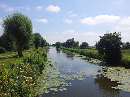 Entre terre et marais, Montmartin en Graignes
