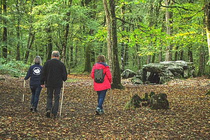 Sentier de découverte : La Maison des Feins