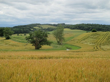 Le Sentier du Mont Cassin