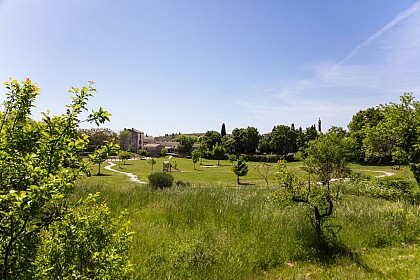 VTT Causse de Blandas N°4