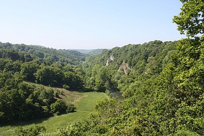 50 - Boucle du passeur de Montaigu / bac à chaines (Saint-Pierre-des-Nids)