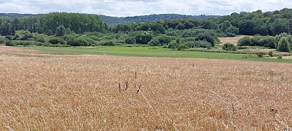 Aubange, between Brull and Brouch