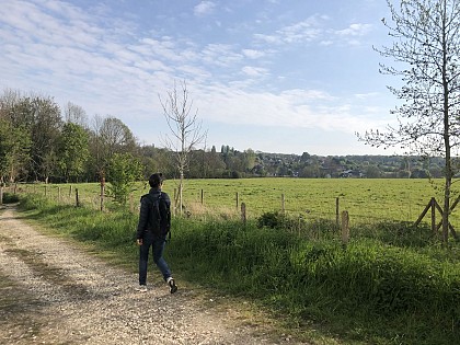 从贡多瓦到布罗斯