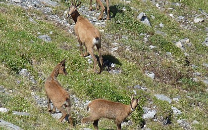 PR Le Pic de l'Estibète