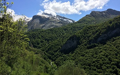 Les quartiers d'Arbéost
