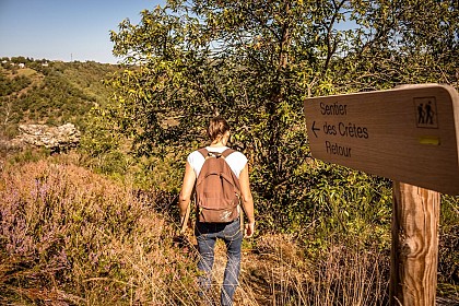 Le sentier des Crêtes