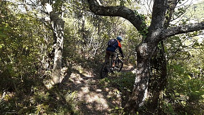 VTT n°16 - Le Saut du Moine