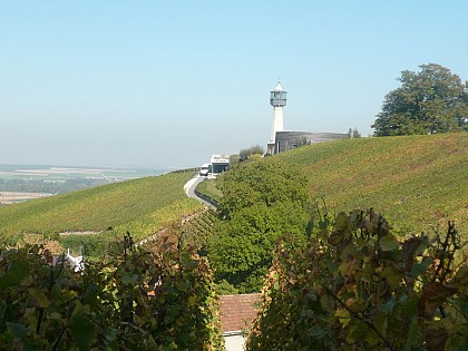 Une petite boucle au pied de la Montagne de Reims