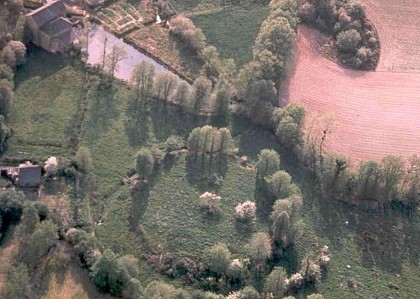 La motte Salomon - n°134