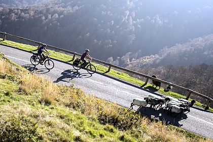 Col d'Arnosteguy