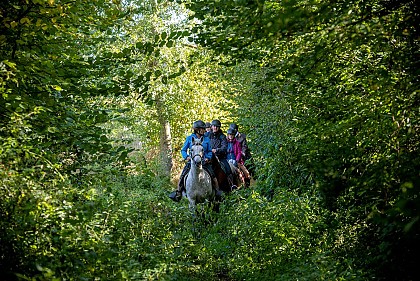 Etape 5 La Chevauchée du Pays d'Auge à la Seine : Orbec - Broglie