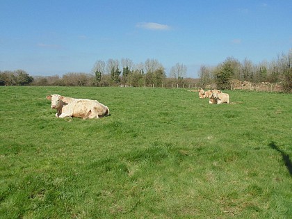 Balade à la Fontaine-Saint-Laurent (départ de Genneville)