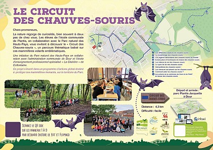 Circuit des Chauves-Souris