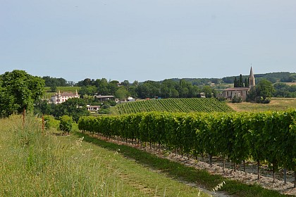 Œnorando® La Ronde des Vignerons