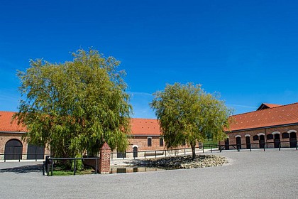 Départs de randonnées de la Maison du Cheval Boulonnais