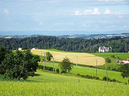 De St-Symphorien-sur-Coise à L'Arbresle par le GR® de Pays des Monts du Lyonnais