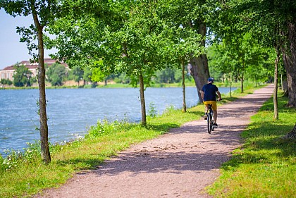 Les berges de l'étang
