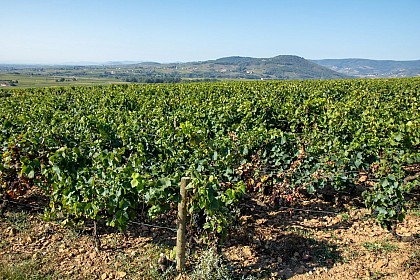 Le vallon de la mauvaise