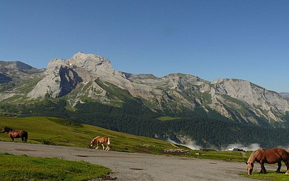 La descente Col d'Aubisque/Louvie-Soubiron